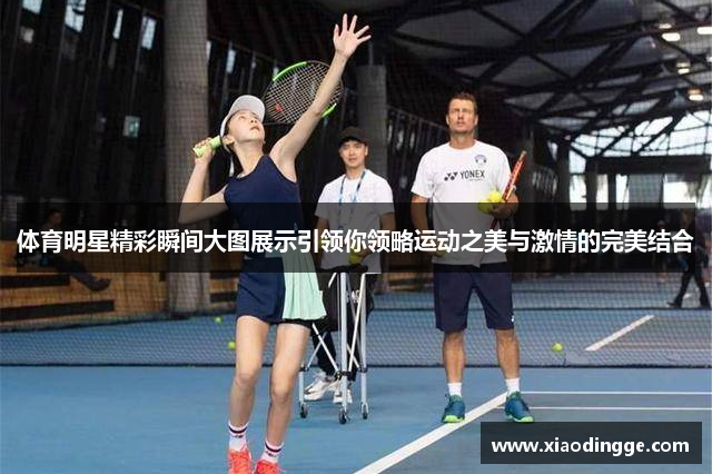 体育明星精彩瞬间大图展示引领你领略运动之美与激情的完美结合