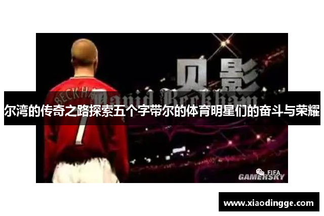 尔湾的传奇之路探索五个字带尔的体育明星们的奋斗与荣耀