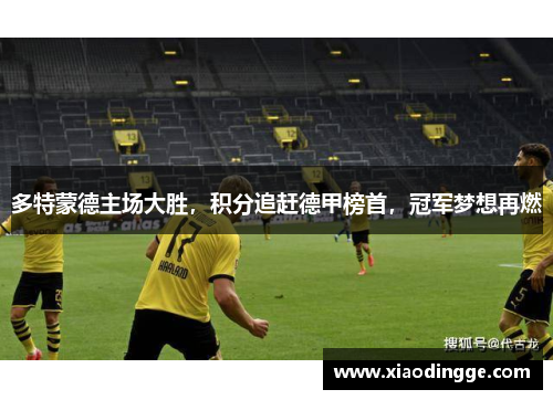 多特蒙德主场大胜，积分追赶德甲榜首，冠军梦想再燃