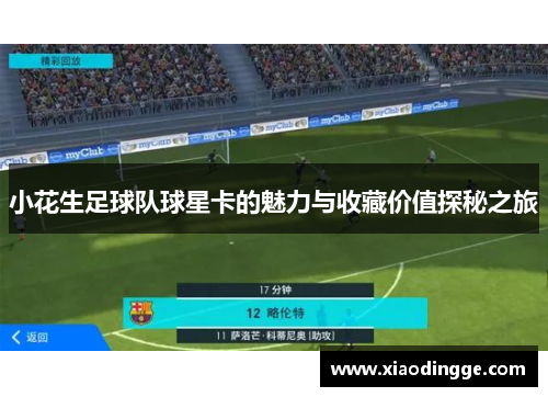 小花生足球队球星卡的魅力与收藏价值探秘之旅