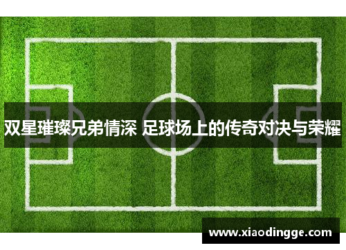 双星璀璨兄弟情深 足球场上的传奇对决与荣耀