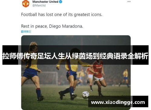 拉师傅传奇足坛人生从绿茵场到经典语录全解析