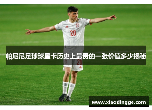 帕尼尼足球球星卡历史上最贵的一张价值多少揭秘
